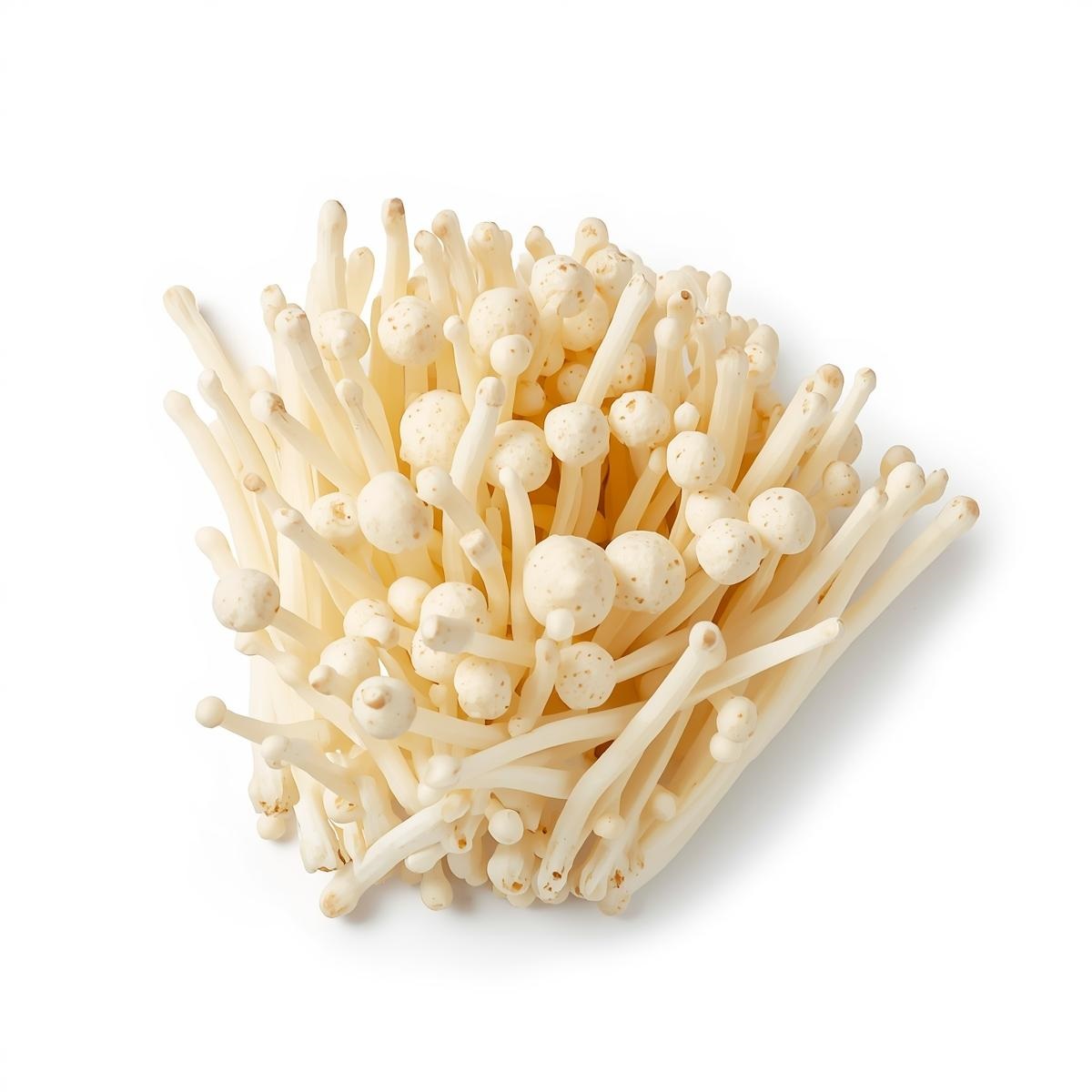 Pilzangebot KW4-5 Pilze Enoki